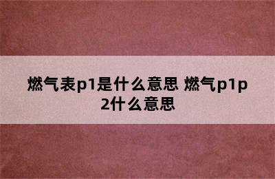 燃气表p1是什么意思 燃气p1p2什么意思